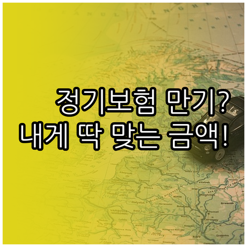 내 상황에 맞는 정기보험 만기 설정과..