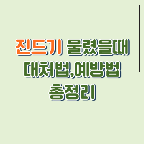 시골 생활에서 조심해야 할 진드기! 물렸을 때 대처법과 예방법 총정리