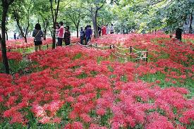 9월 가볼만한 곳 베스트