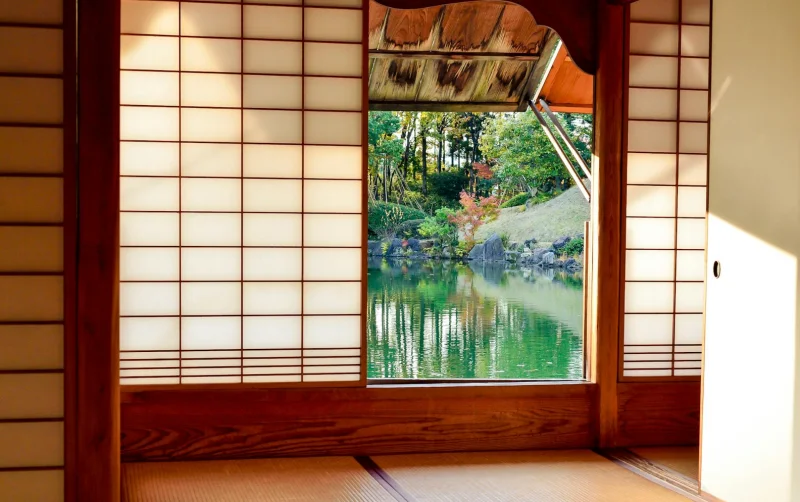 연쇄구균 독성쇼크증후군 확산