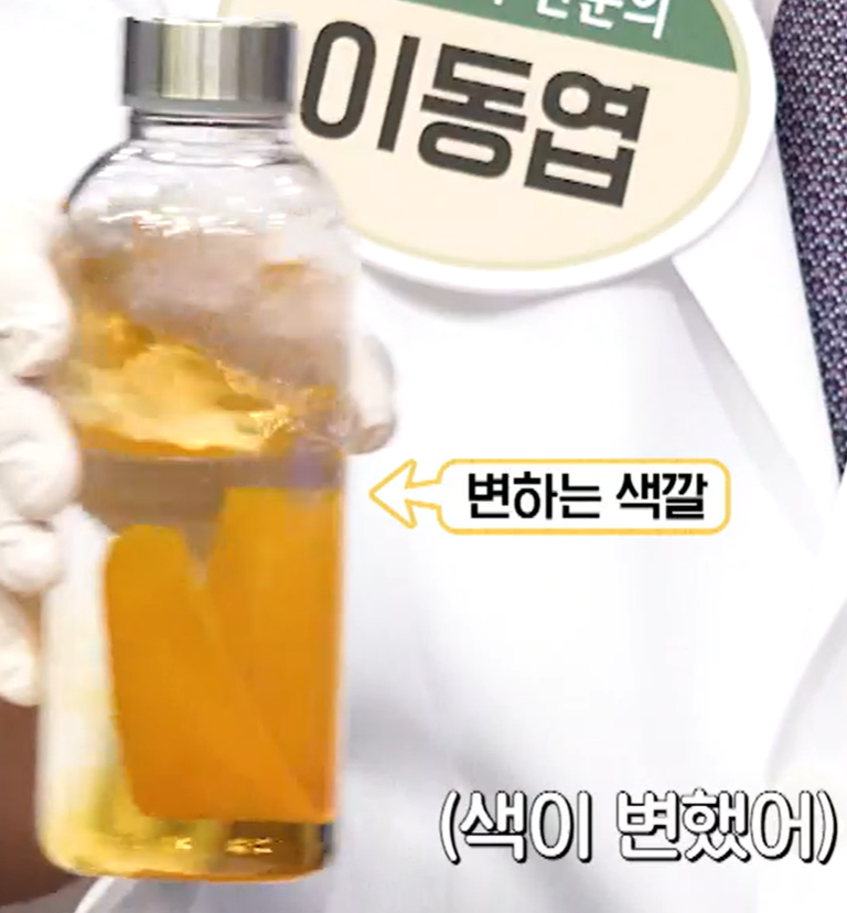 글루타치온 효능 