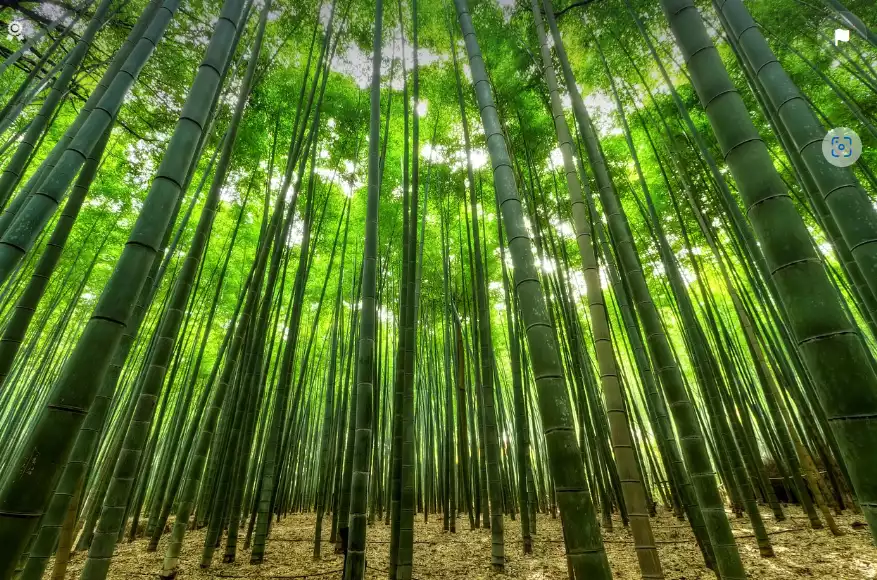 환경 배려형 건축 자재