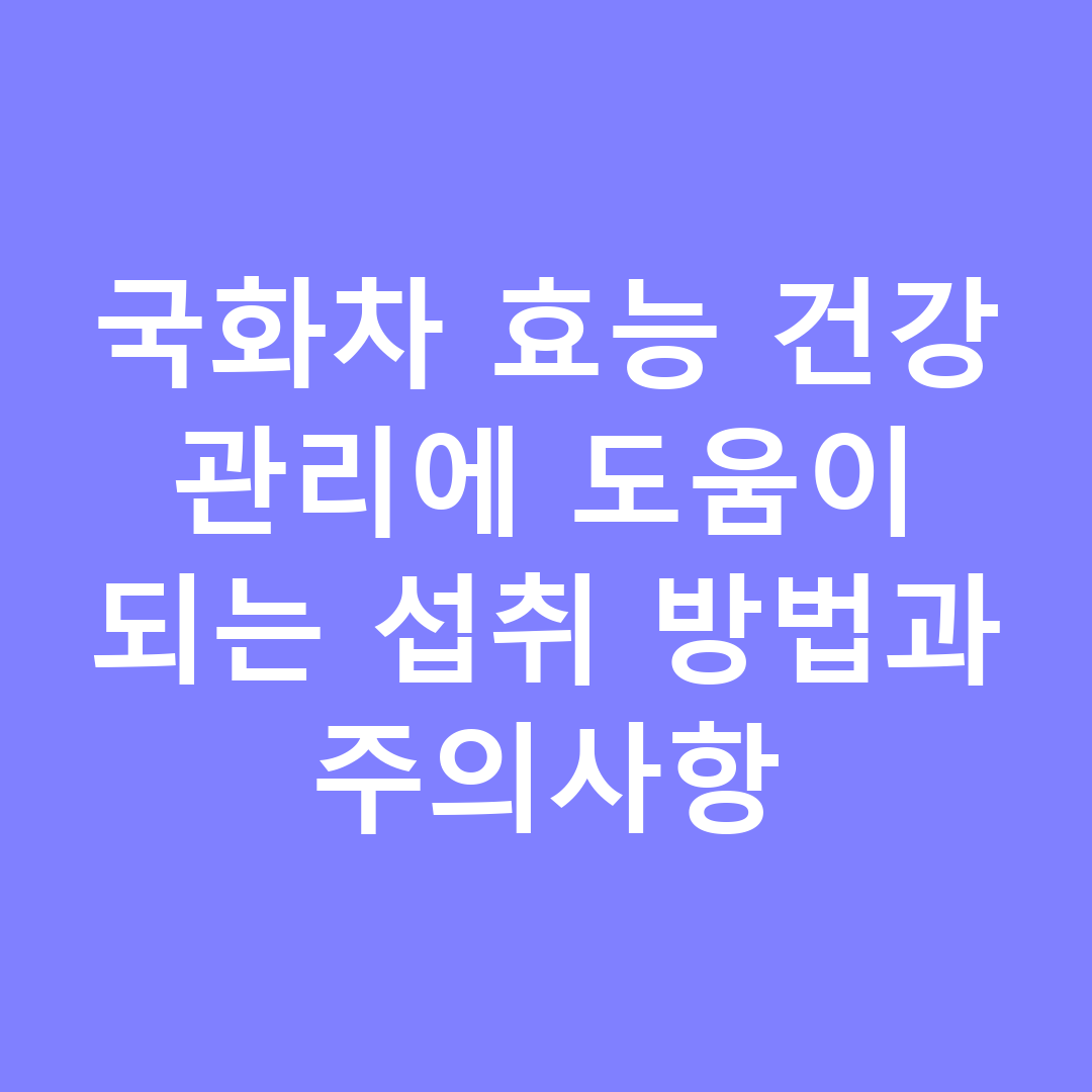 국화차 효능 건강 관리에 도움이 되는 섭취 방법과 주의사항