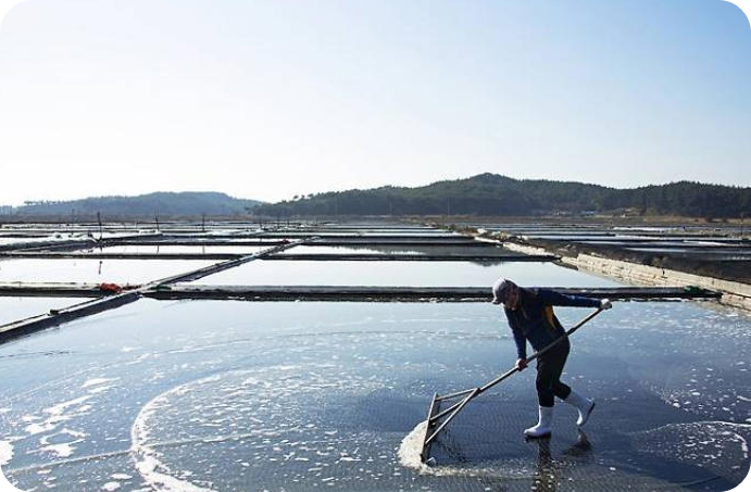 전남 신안군 염전에서 벌어진 장애인 강제노동의 비극 [사진=게티이미지뱅크]