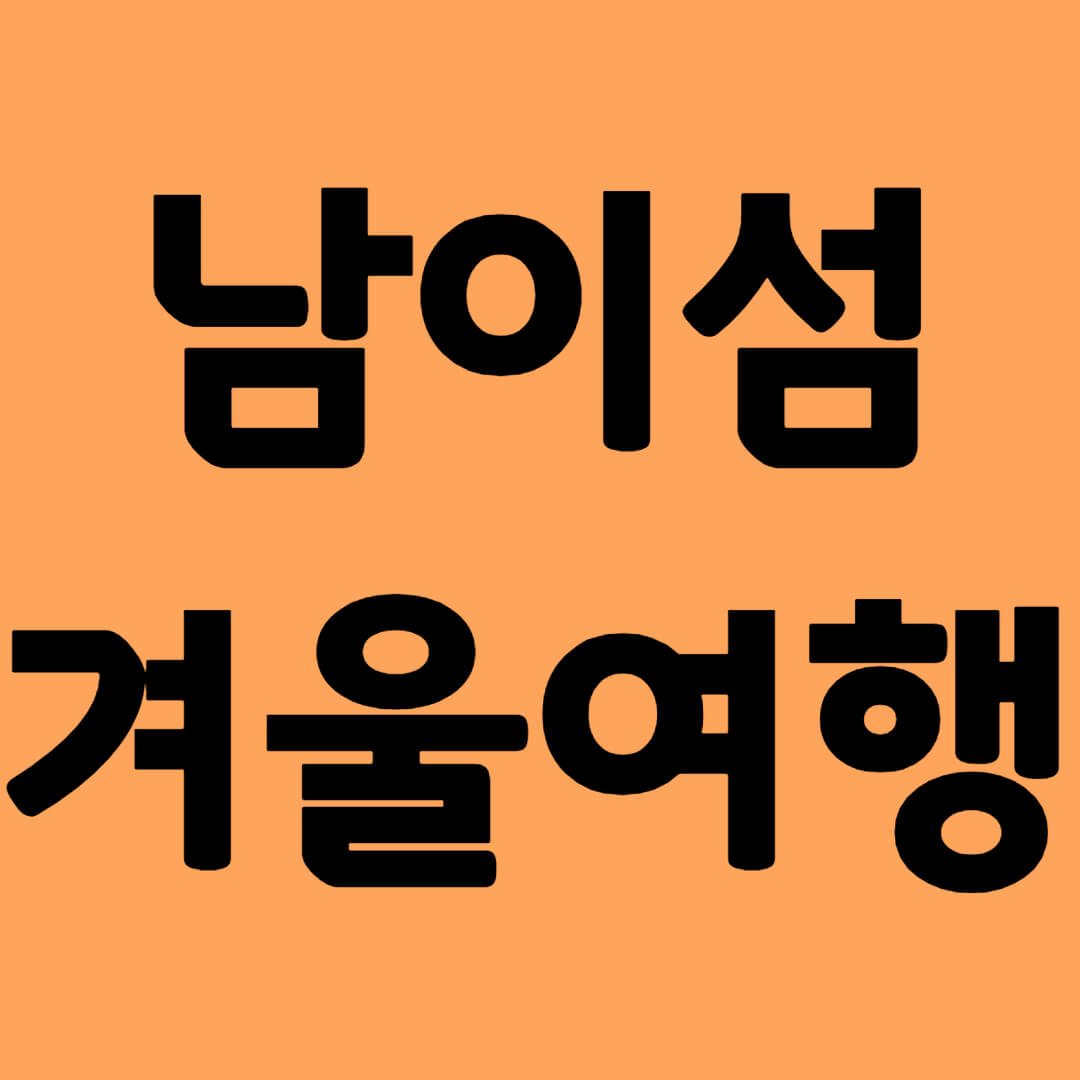 남이섬 겨울여행