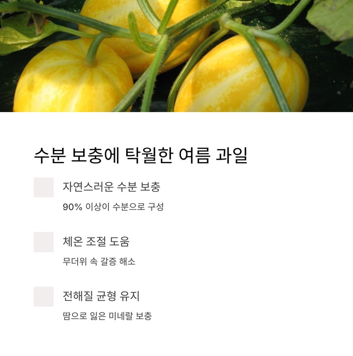 참외 효능 총정리! 여름철 꼭 먹어야 하는 이유 7가지 요약 이미지