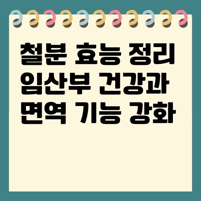 철분 효능 정리 임산부 건강과 면역 기능 강화