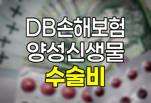 DB손해보험 특정5대기관양성신생물수술비 보험 상세 분석 및 보장내용