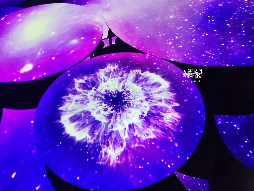 기장 힐튼 아난티 미디어아트 캐비드 네 쁘아쏭 갤러리 방문후기