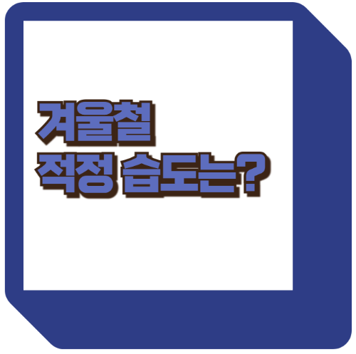 건조한 겨울 건강 관리법, 적정 습도와 유지방법