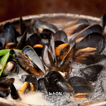 홍합탕 끓이는법