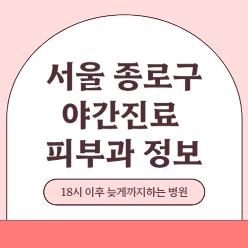 서울 종로구 야간진료 피부과 병원 (18시 이후 늦게까지하는 병원)
