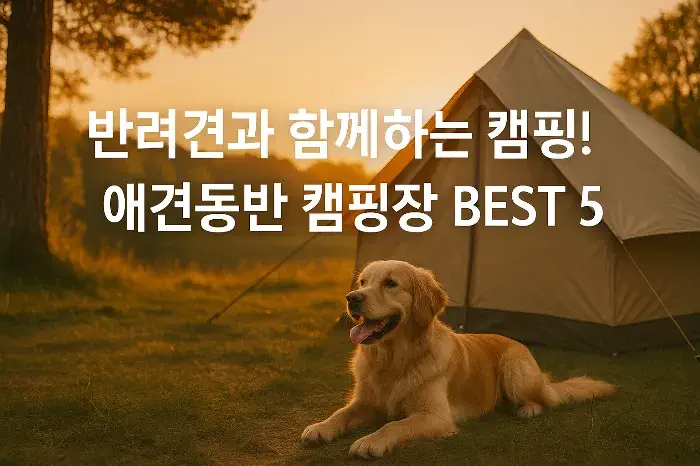 애견동반 캠핑장 BEST 5