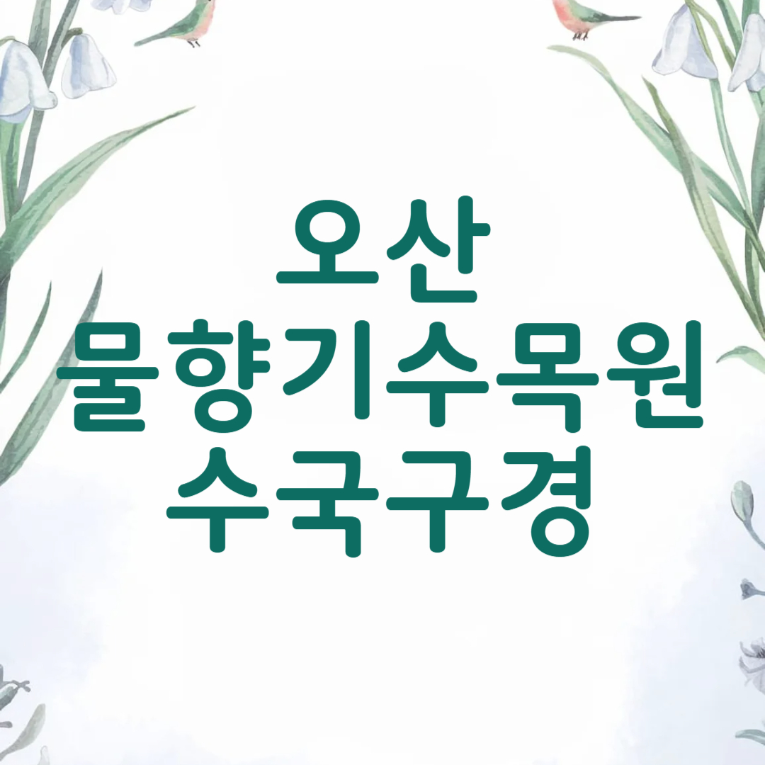 오산 물향기수목원 수국
