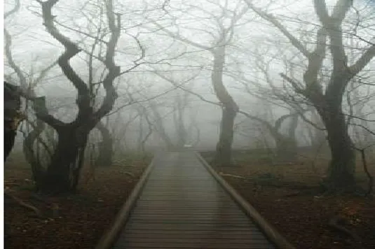 서귀포자연휴양림