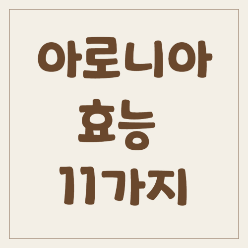 아로니아 효능
