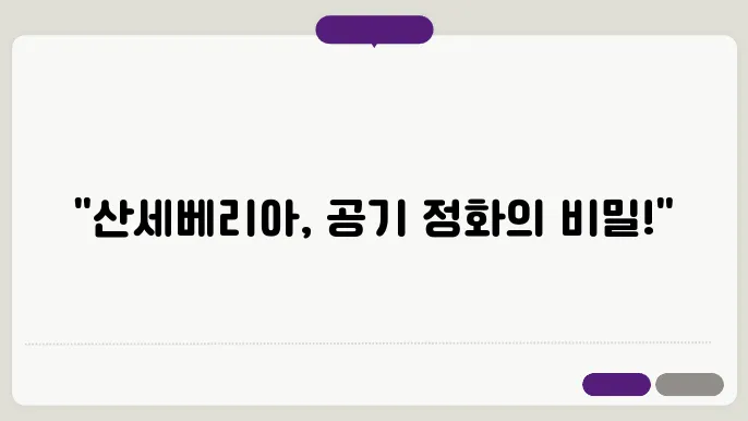 산세베리아의 기르기 방법 총정리
