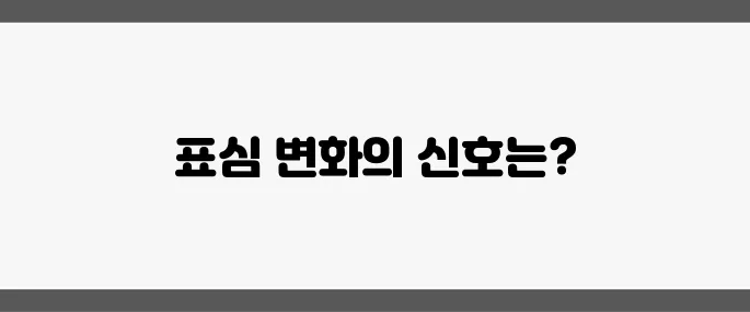 윤석열 파면 후 맞이한 첫 현충일, 조기대선 표심의 향방을 깊이 분석합니다.