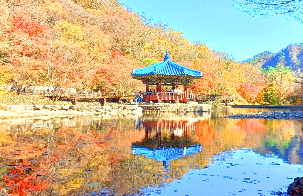 내장산 단풍