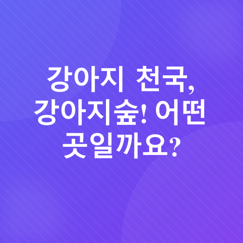 반려견 테마파크_1