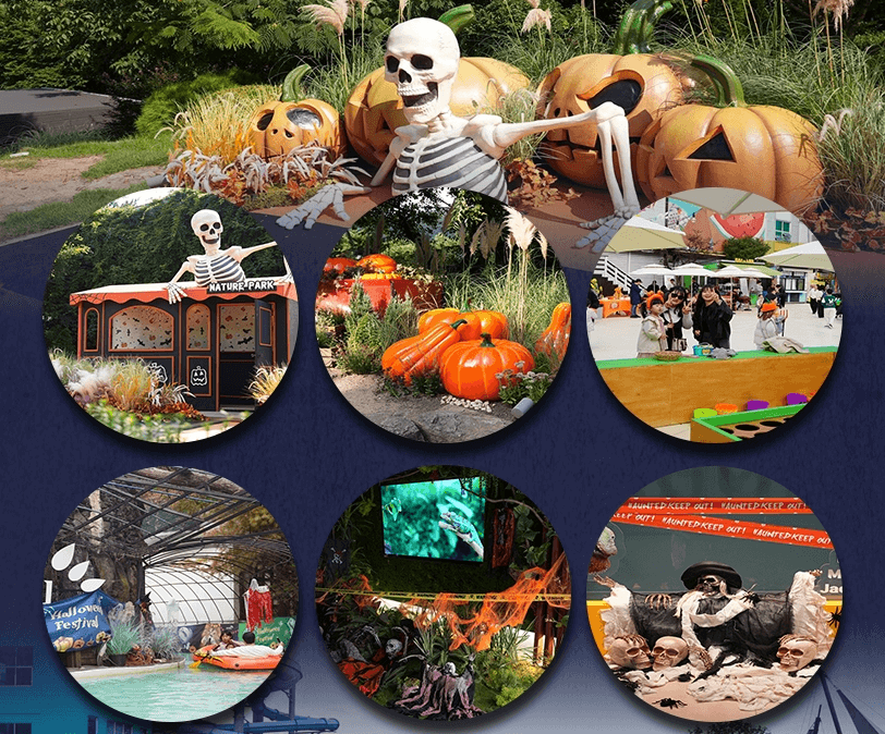 2024 할로윈 축제 에버랜드 할로윈 블러드 시티 8 롯데월드 다크 문 월드 대구 E-월드 할로윈 서울랜드 옥토버 페스티벌 할로윈 축제 일정 한국 할로윈 이벤트 가족과 함께하는 할로윈 할로윈 테마파크