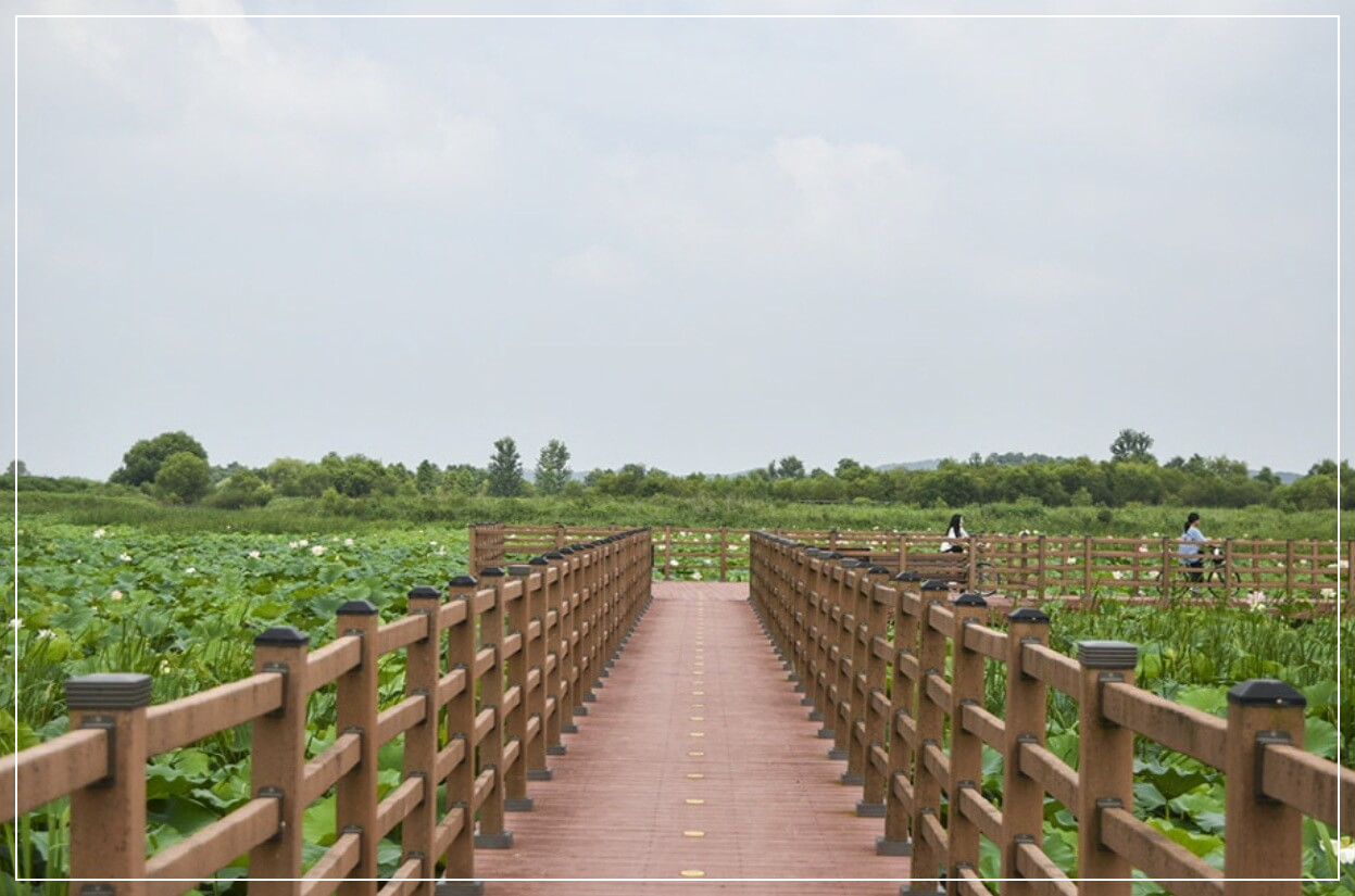 익산 가볼만한곳 베스트10 용안생태습지공원