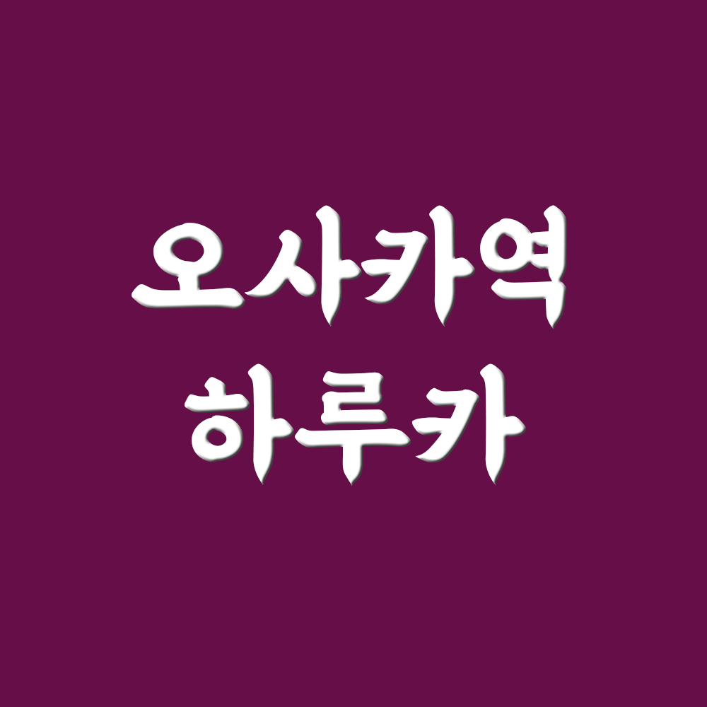 오사카역에서 하루카 타코 간사이공항 이동