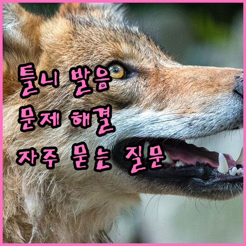 틀니 착용 후 발음 문제 FAQ와 해