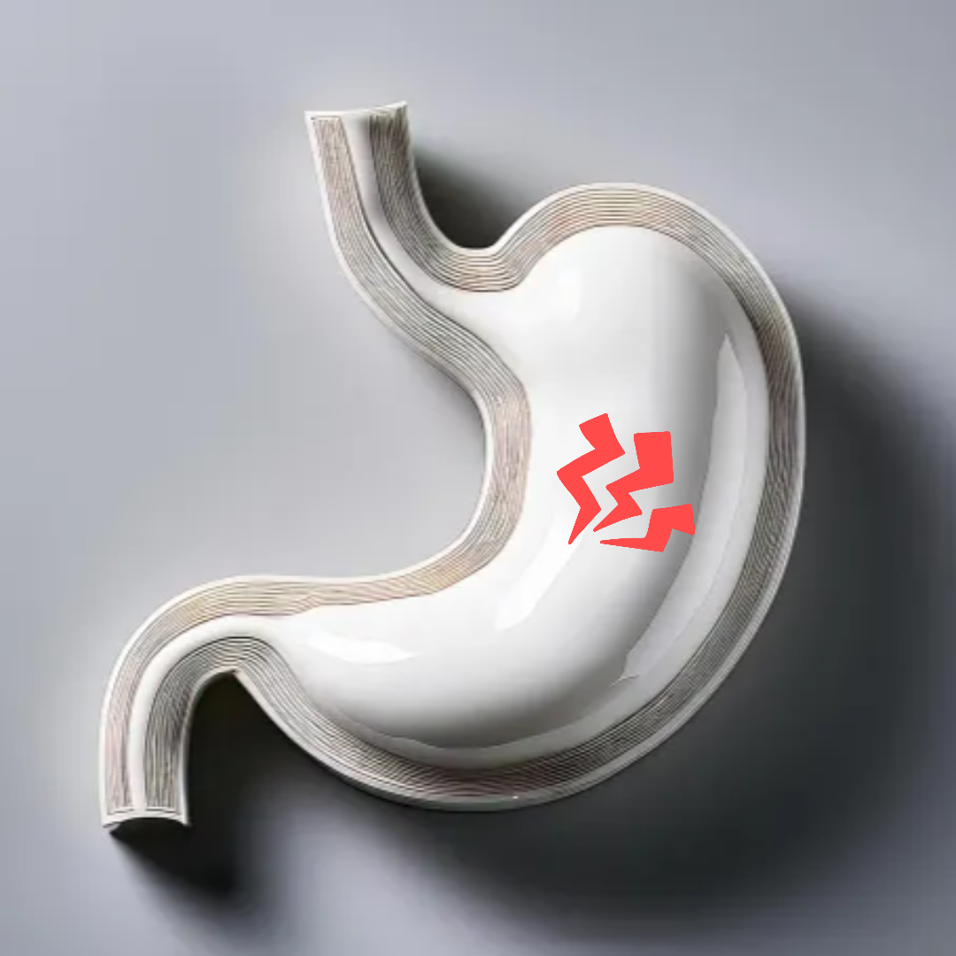 천마 부작용 소화 장애