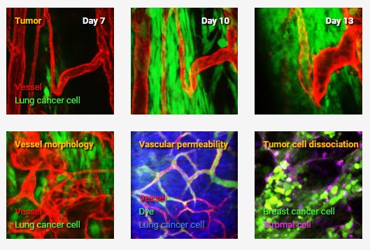 아이빔테크놀로지
