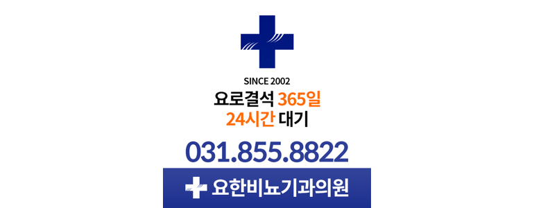 의정부시 요로결석 병원