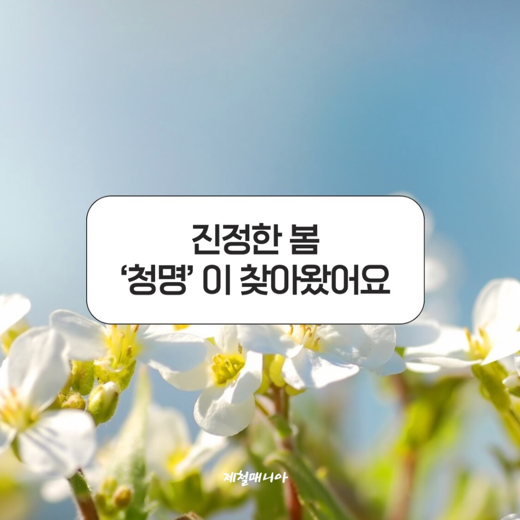 청명
