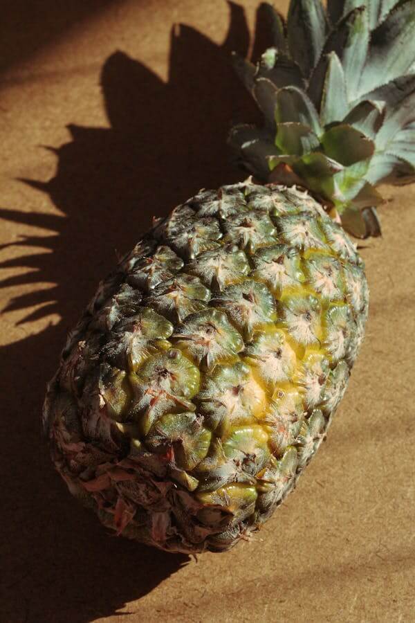 2025년농식품바우처