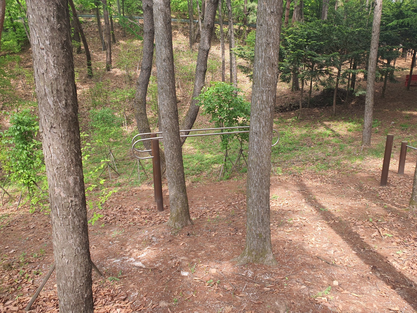 봉래산산림욕장