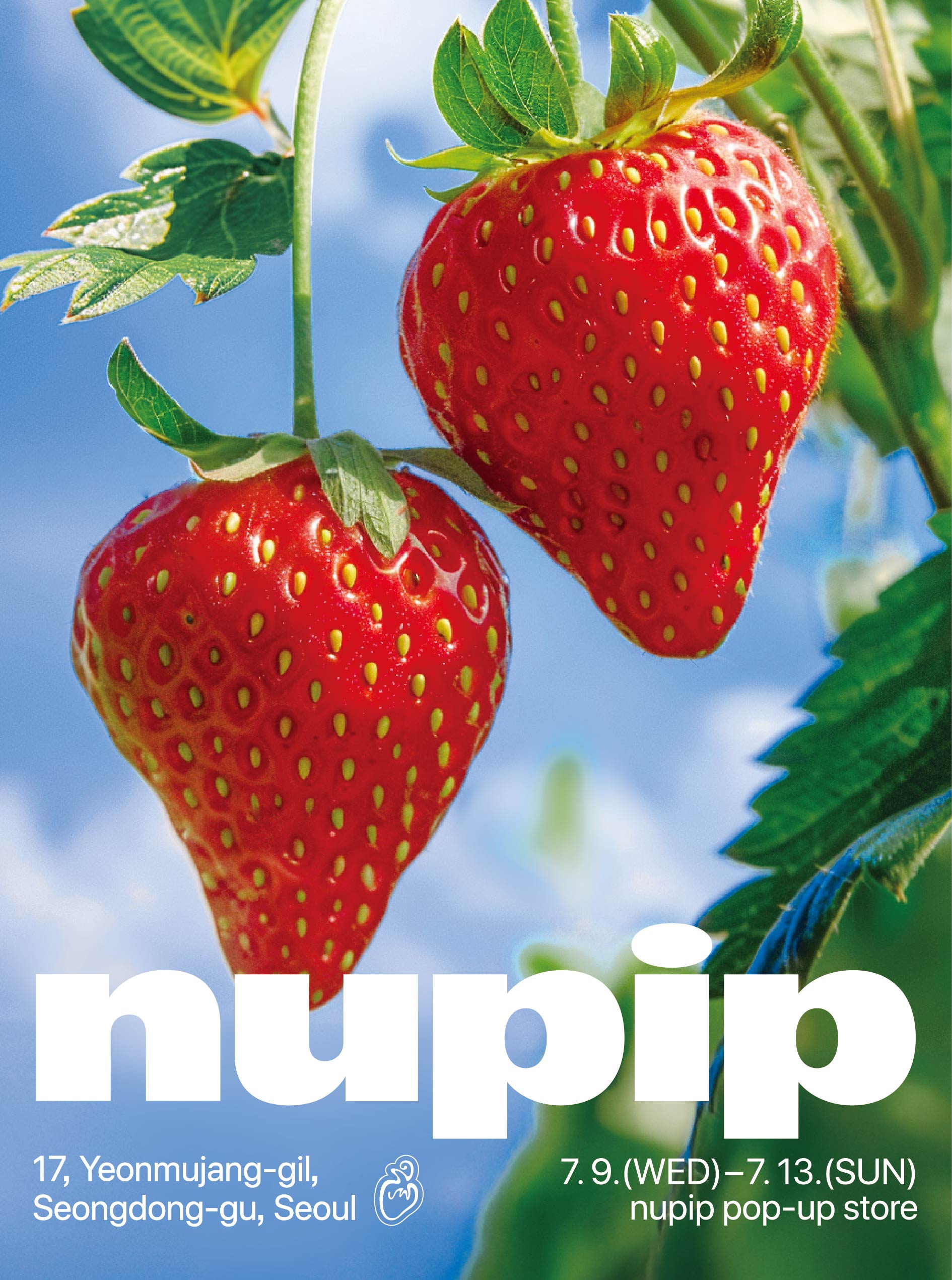 성수 nupip 팝업! 딸기나라 혜택·이벤트·굿즈 총정리