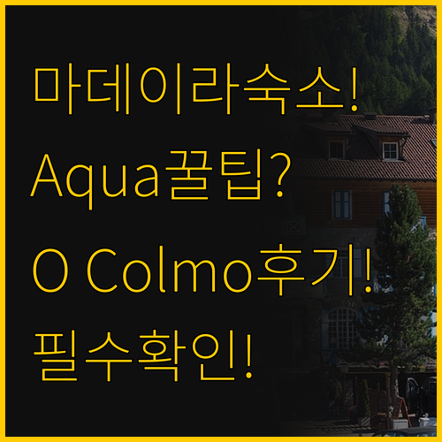 마데이라 숙소 꿀팁, 투숙객 후기로 ..