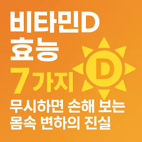 비타민D 효능