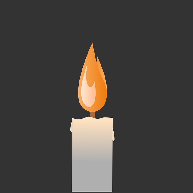 윤석열탄핵심판생중계-윤석열대통령탄핵결과-탄핵인용뜻-탄핵기각뜻-탄핵각하뜻-헌법재판소생중계