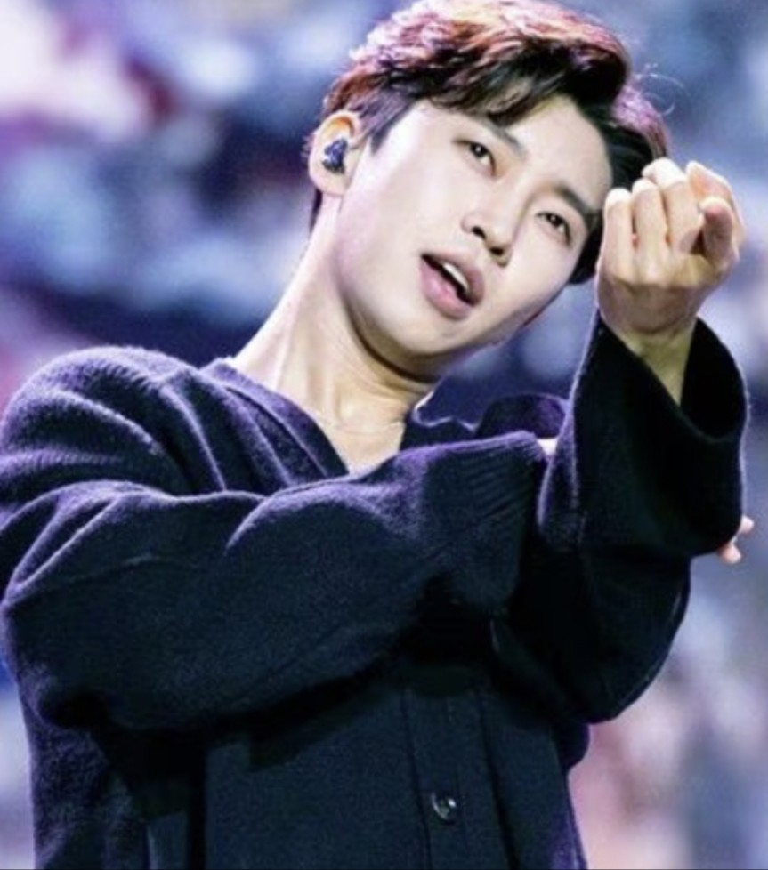 임영웅 노래 모음