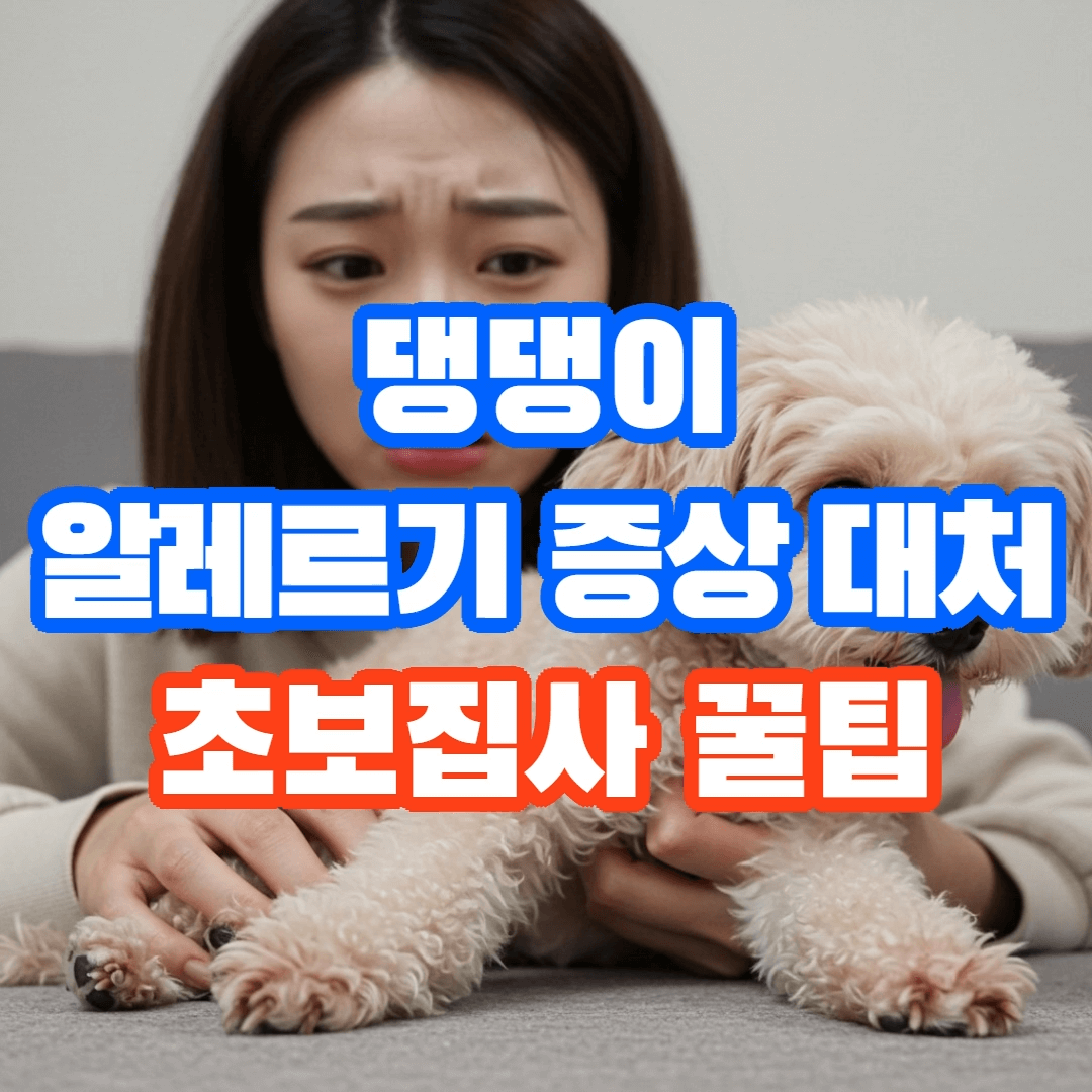 반려견 알레르기 증상과 대처법, 초보 주인 필수 가이드🩺