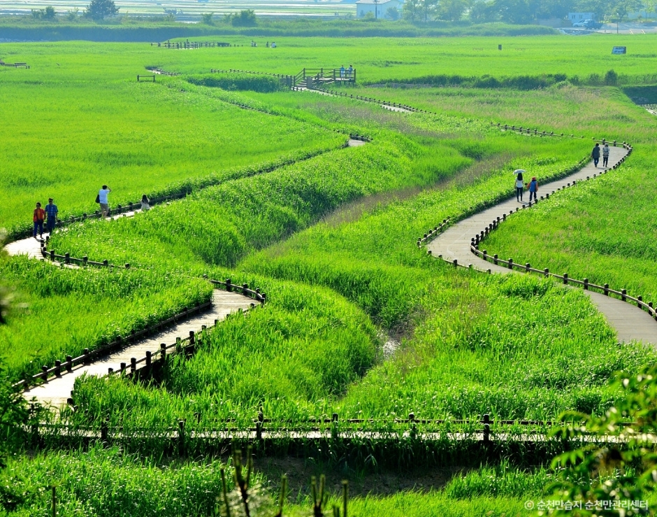 순천 가볼만한곳 베스트10