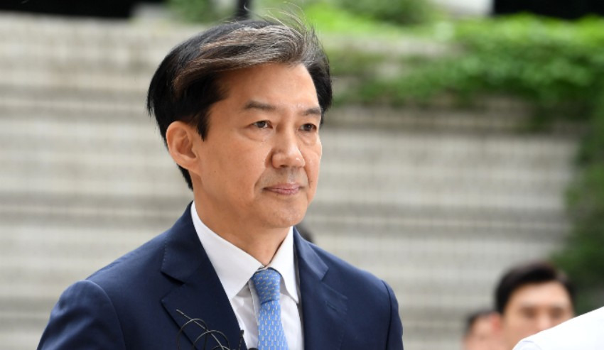 조국 정치 입문
