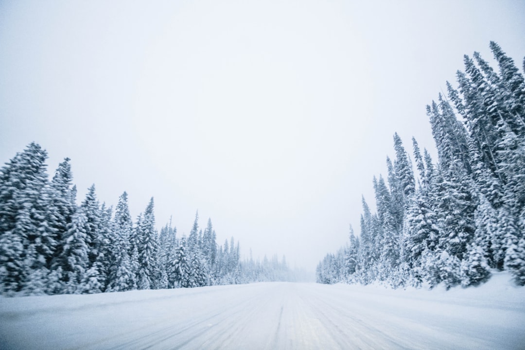 Frozen