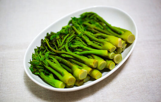 두릅 효능 및 부작용