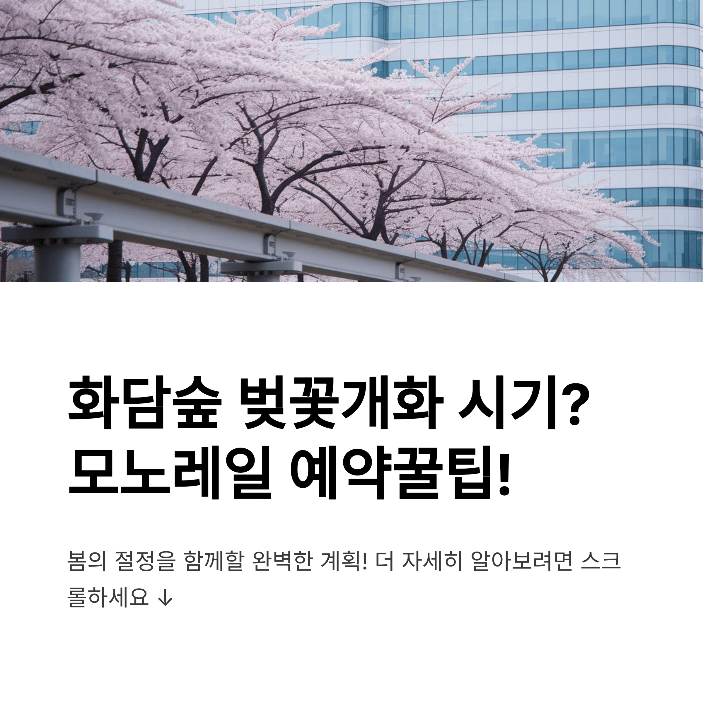 화담숲 벚꽃개화 시기