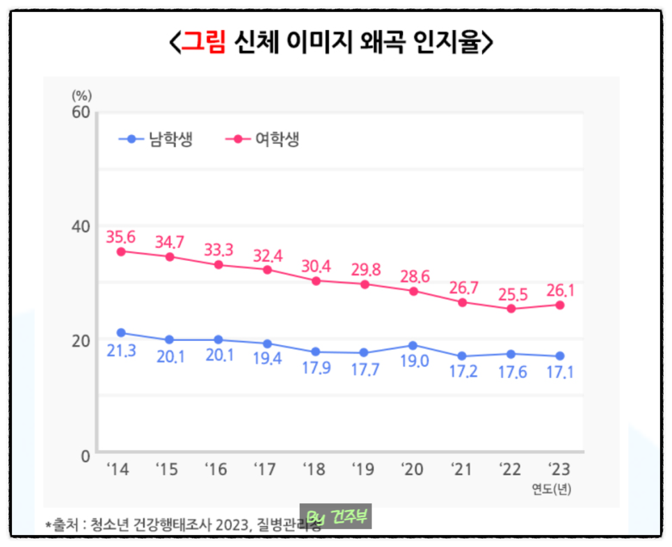 청소년 다이어트 보조제 건강에 미치는 영향

(글 그림 : 건주부, 그림 출처 : Canva)