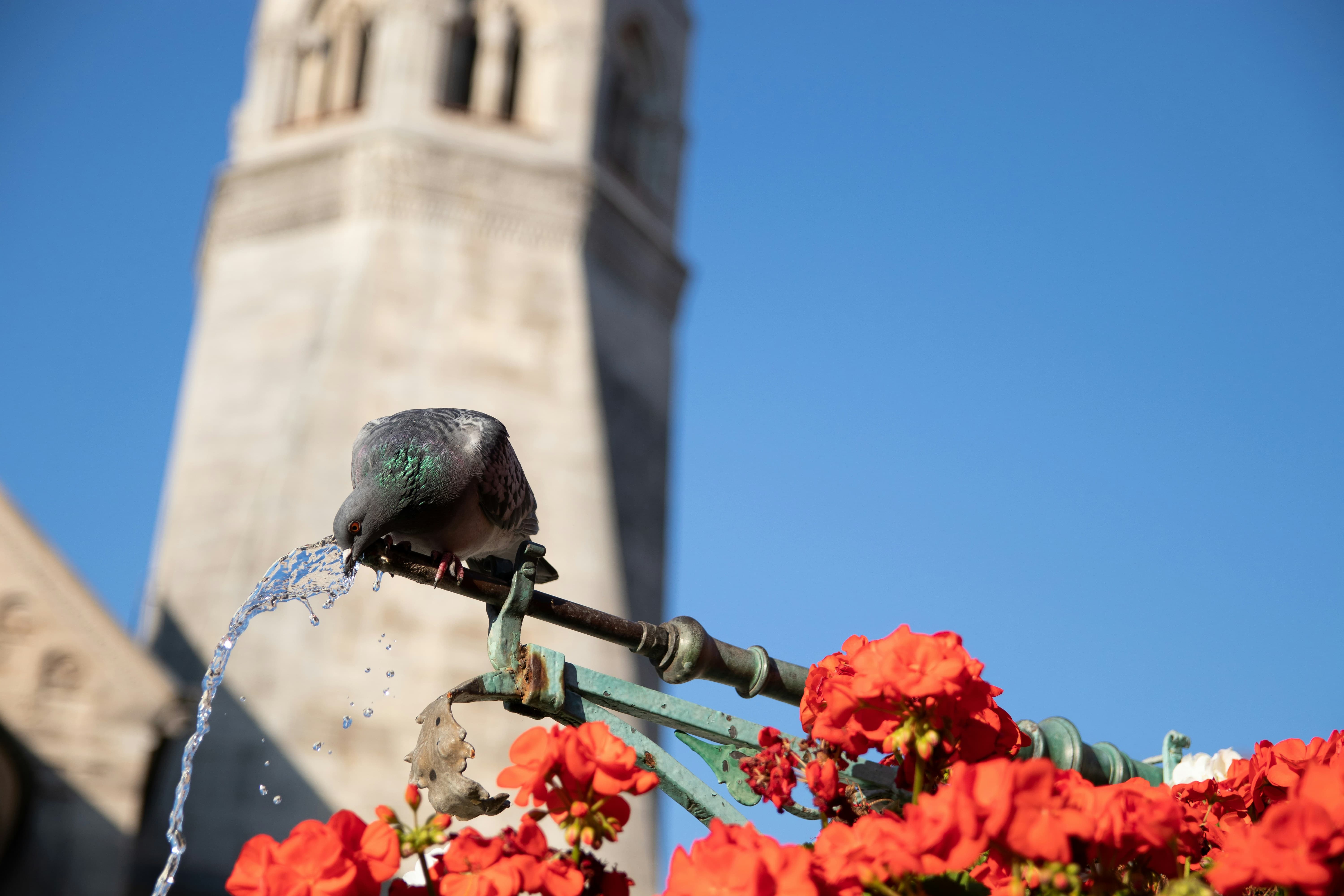 2026 군소음피해보상 신청방법