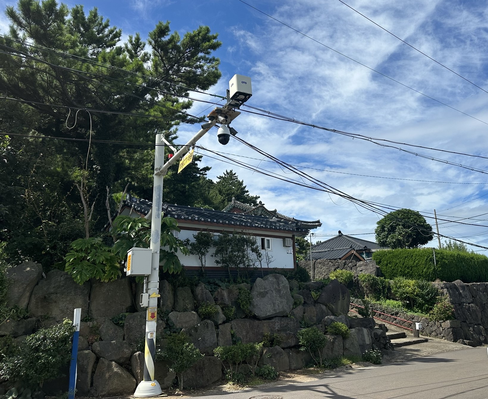 사라사