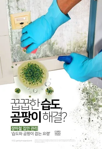 습도 높은날 제습 모드 빨래 건조 곰팡이 차단법_6