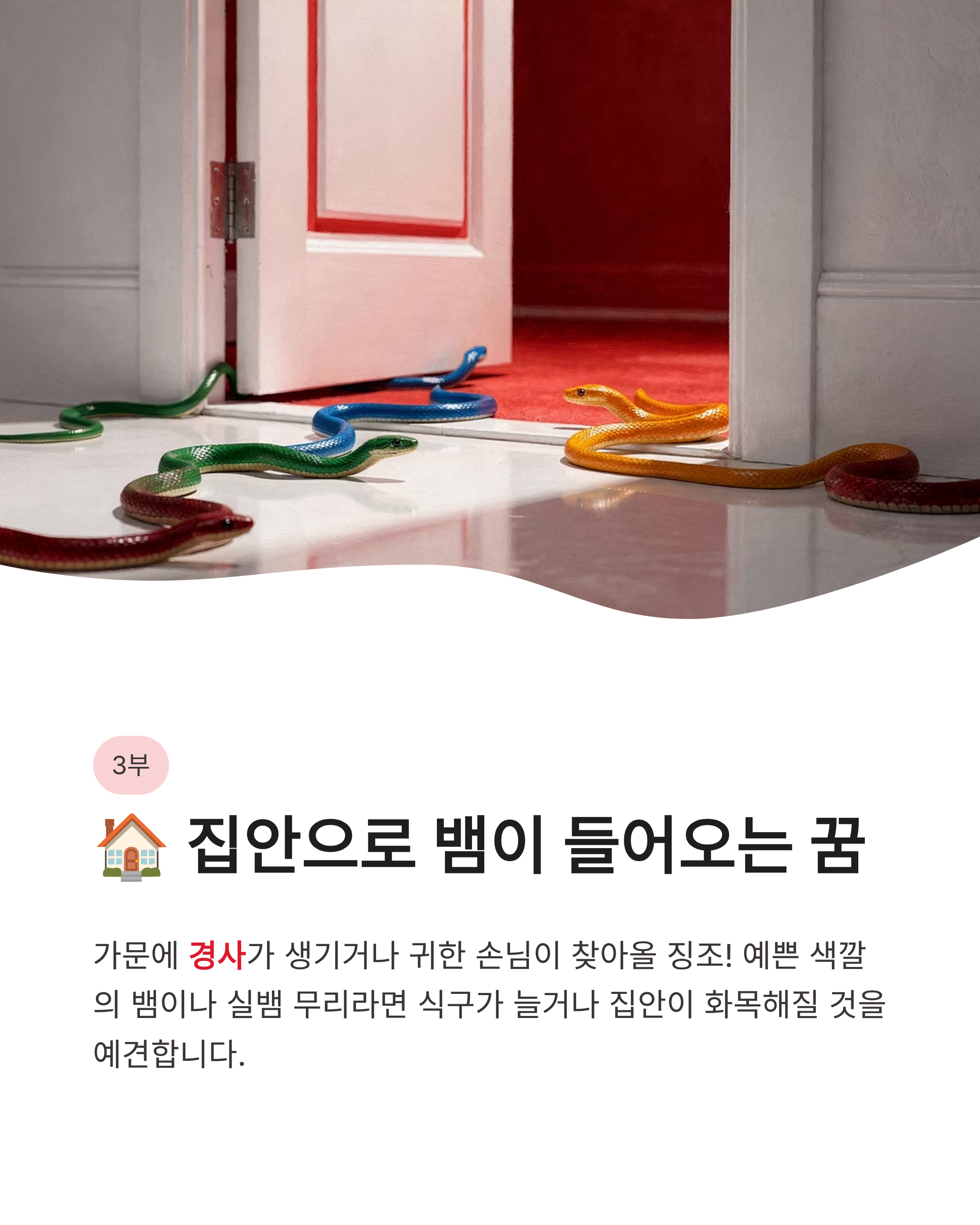 뱀꿈 해몽 큰 뱀 검은 뱀 물리는 꿈까지 상황별 완벽 정리! 오늘 밤 당신에게 찾아온 대박 기회?